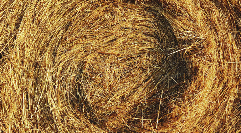 Anugerah Rahmat Tuhan: SEBAB-SEBAB UNTUK MENYAMBUT