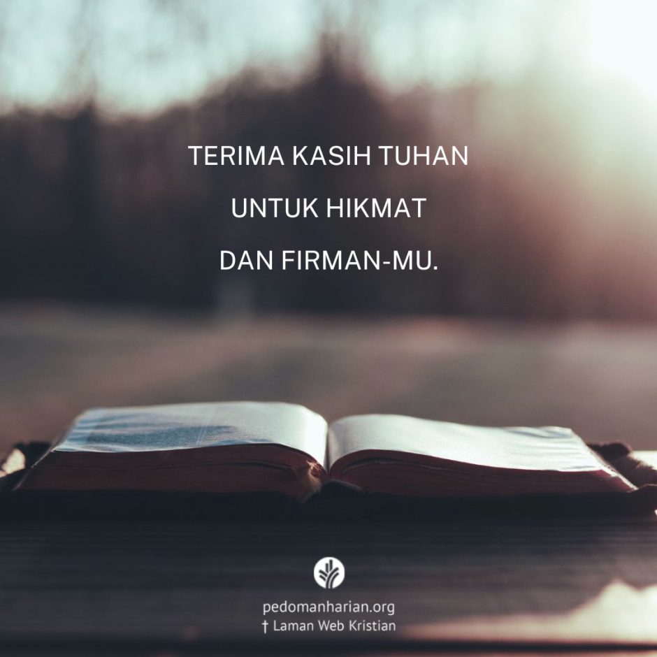 share_msodb_2023-01-09