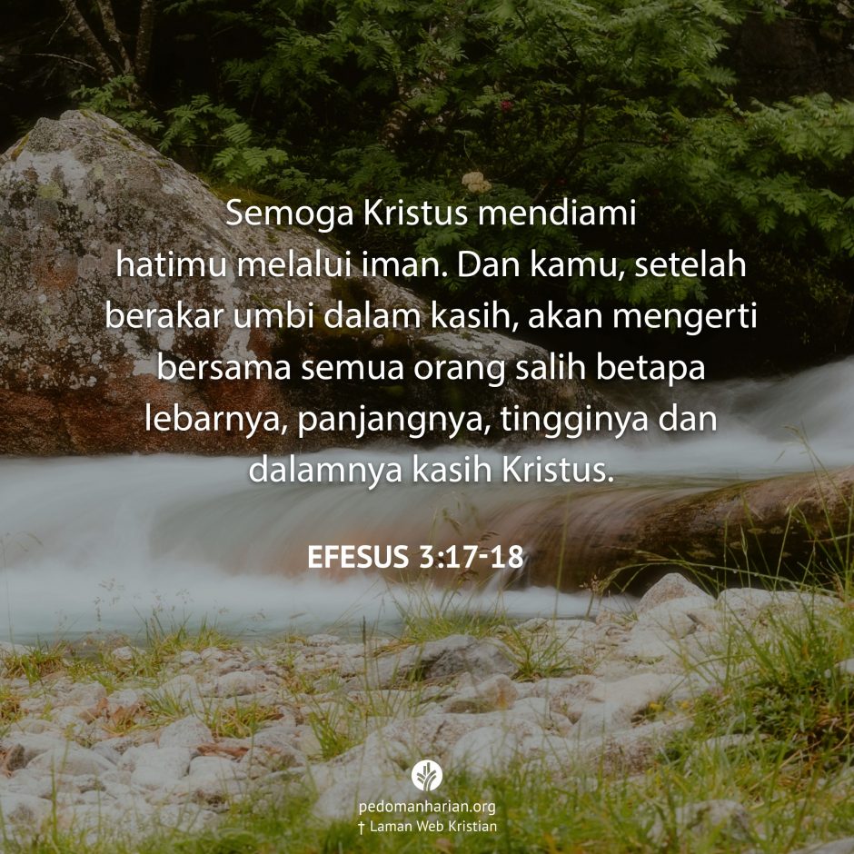 share_msodb_2025-05-08