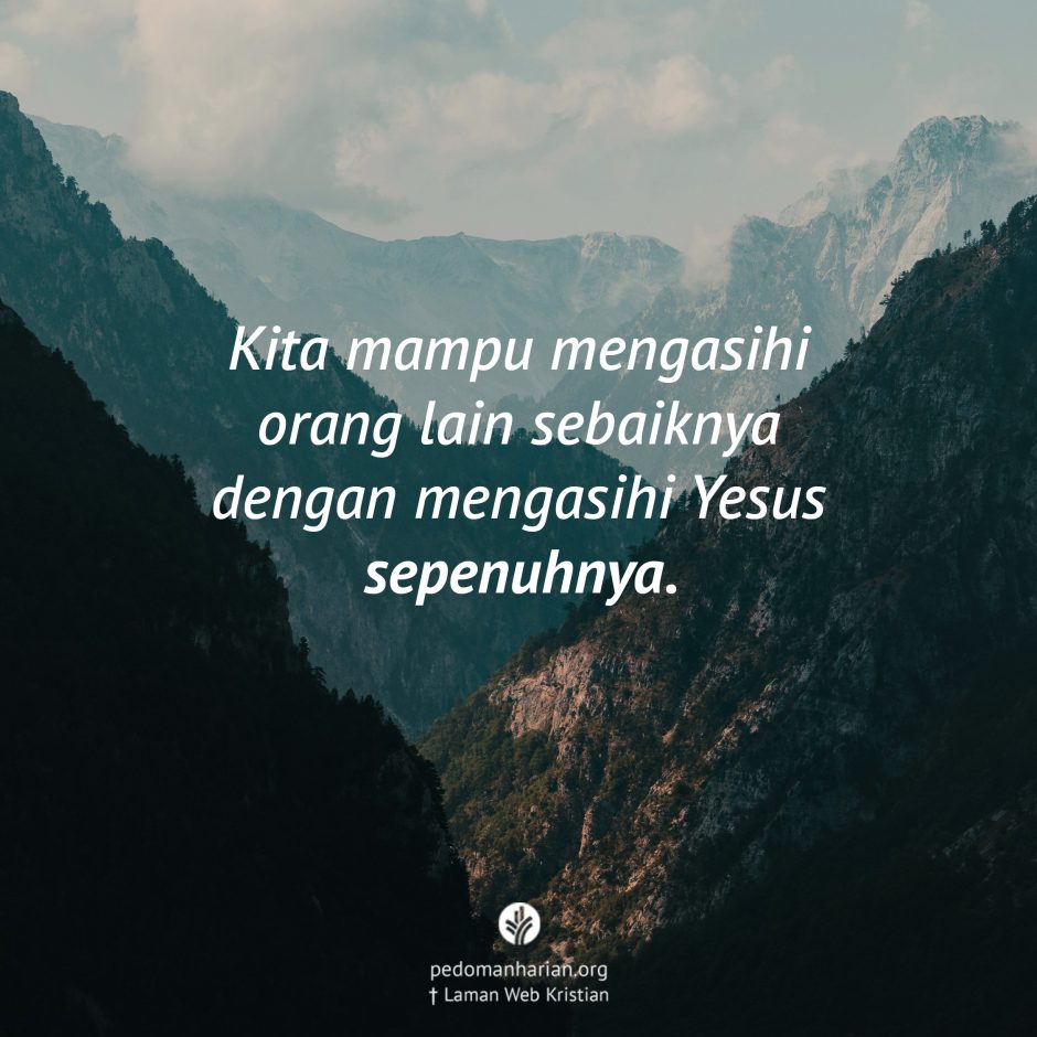 share_msodb_2025-07-17