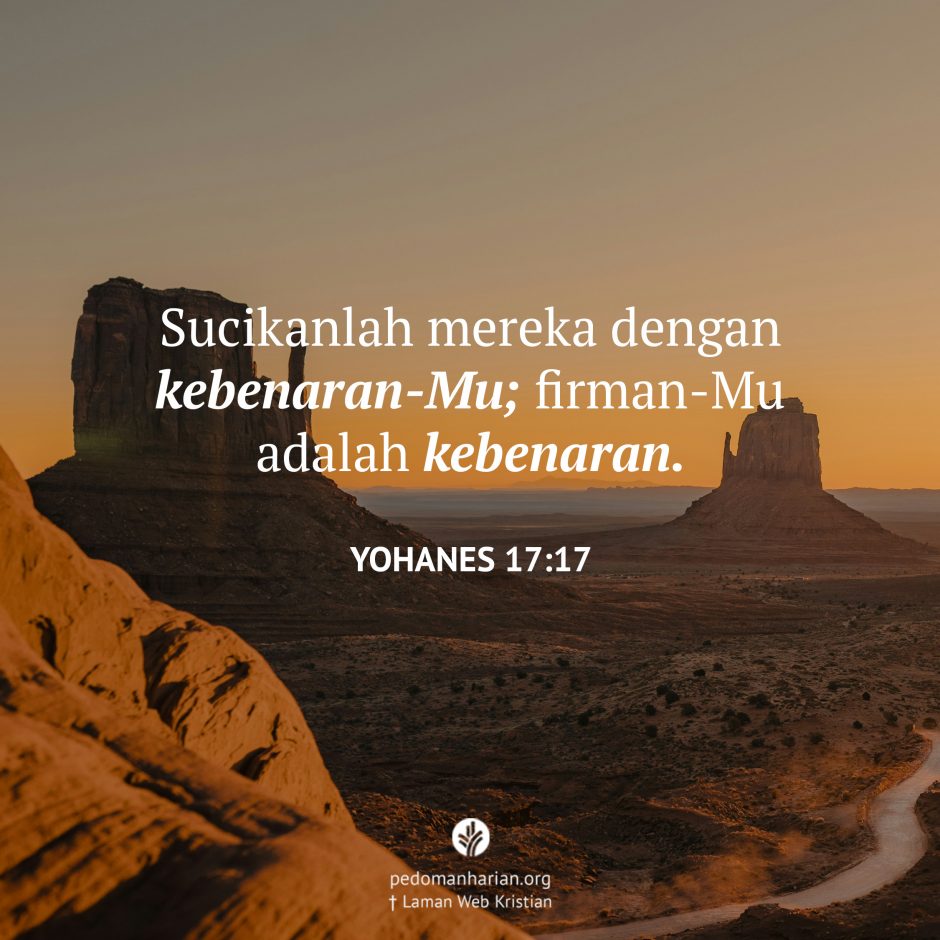 share_msodb_2025-07-20