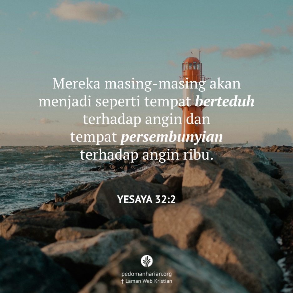 share_msodb_2025-07-21