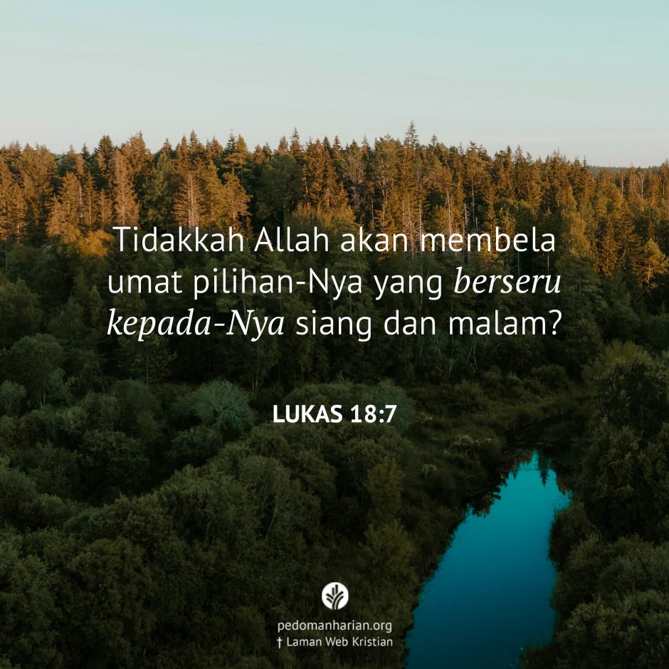 share_msodb_2025-07-22