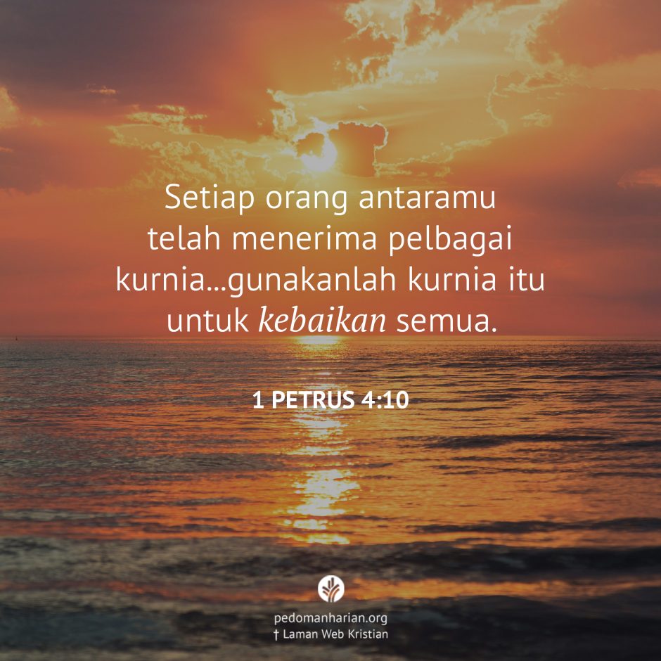 share_msodb_2025-07-25