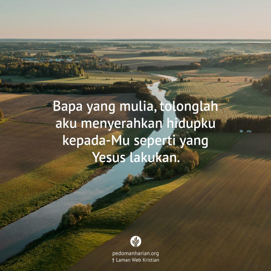 share_msodb_2025-07-27