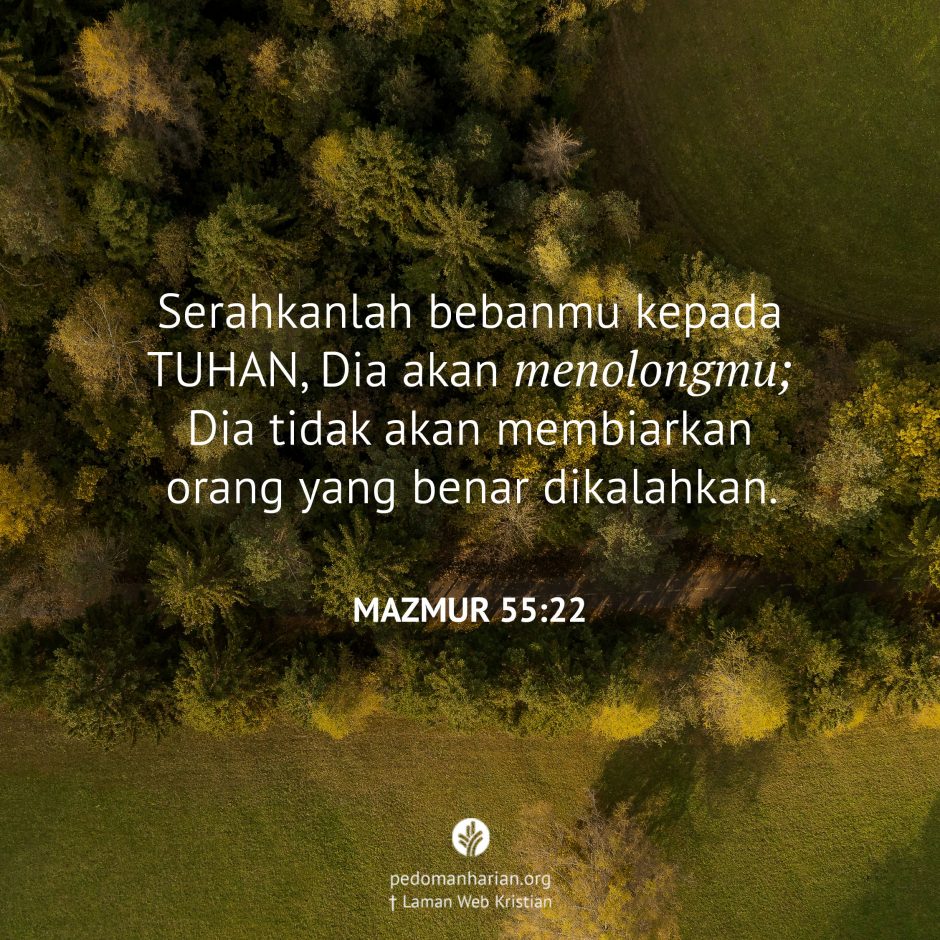 share_msodb_2025-07-29