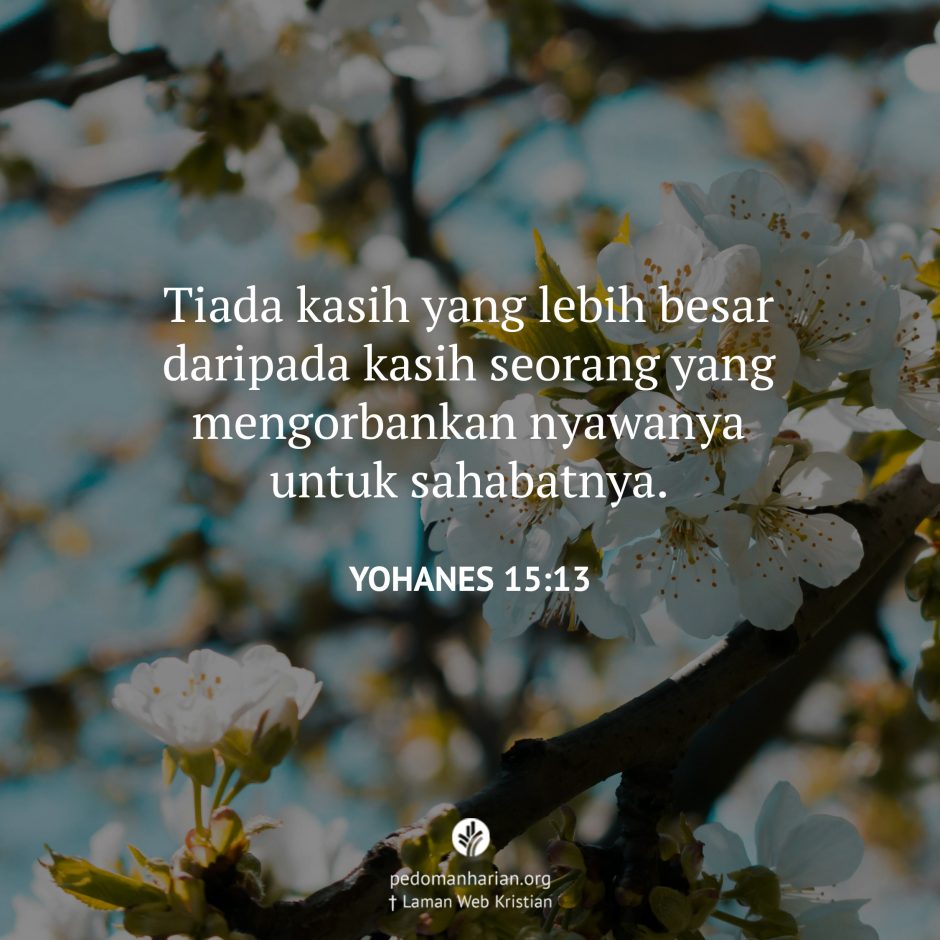 share_msodb_2025-07-30