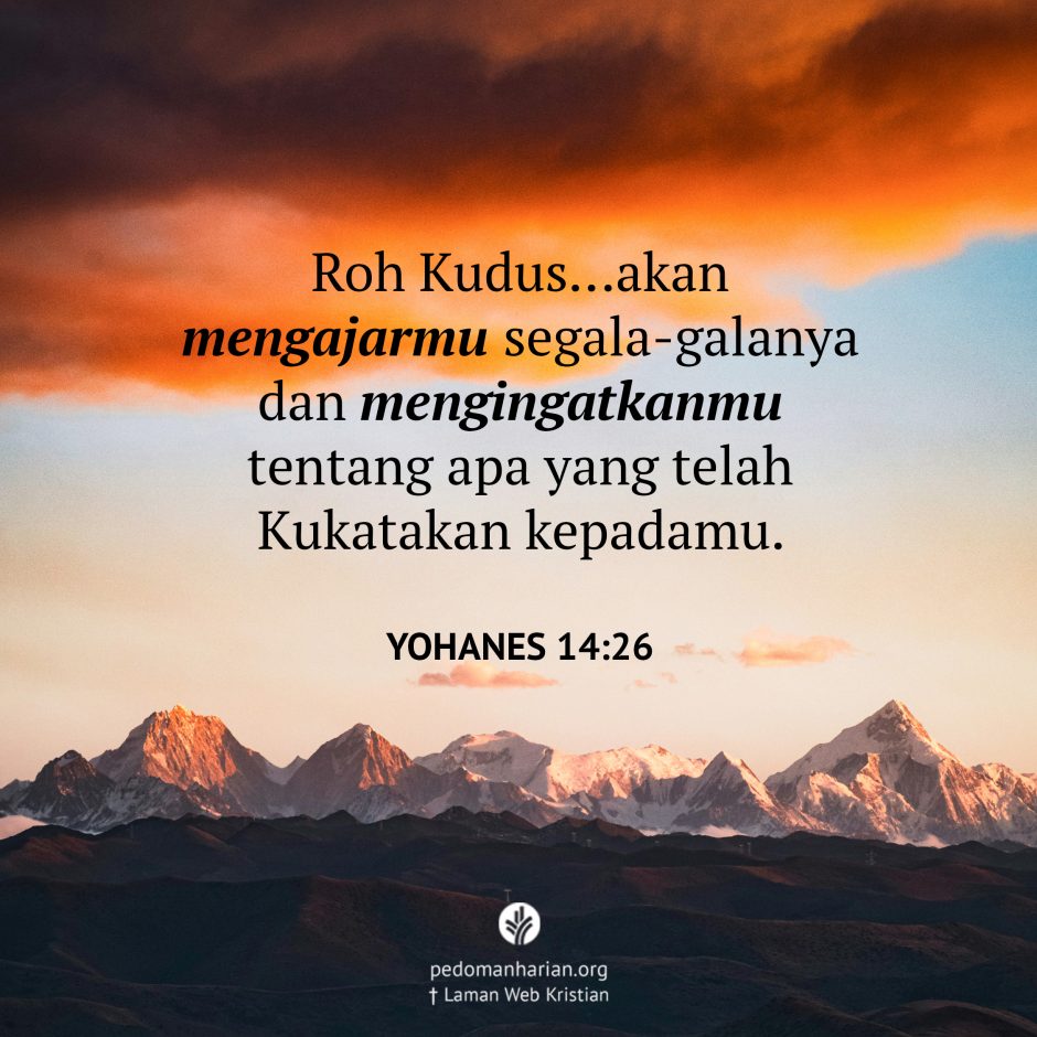 share_msodb_2025-07-23