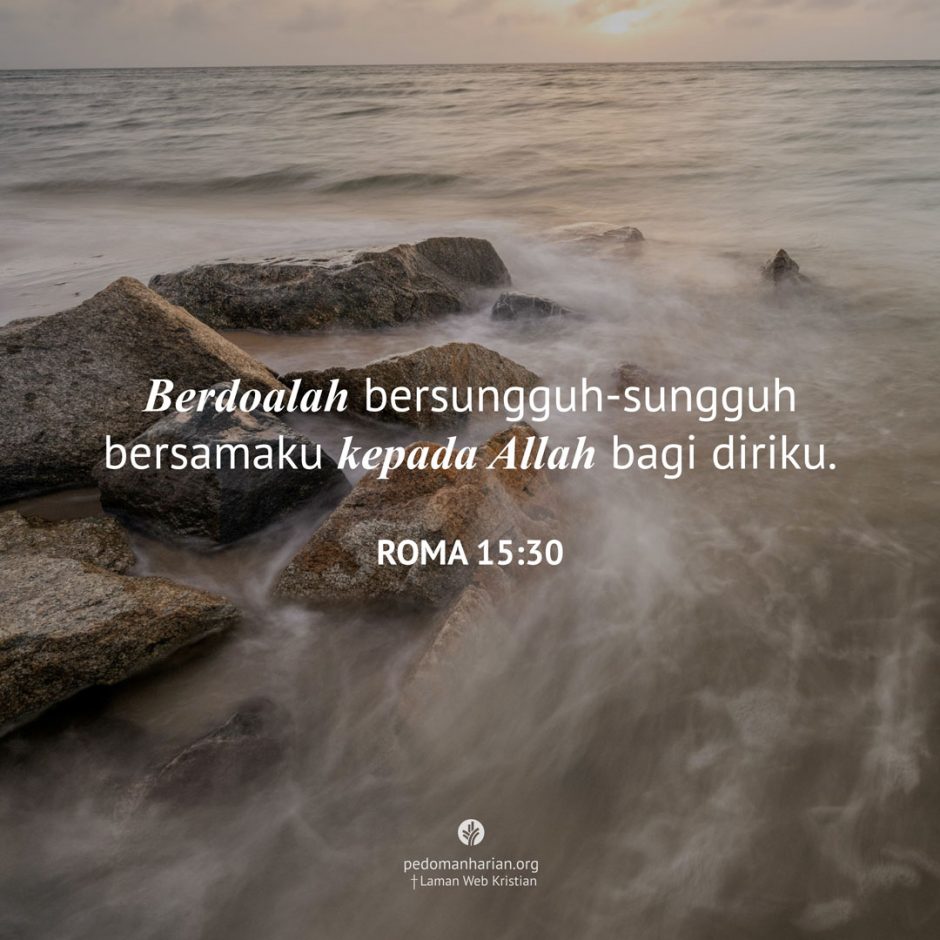share_msodb_2025-09-03