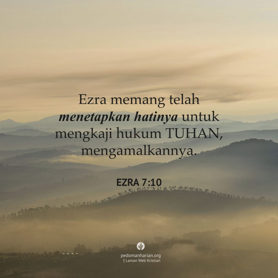 share_msodb_2025-09-04