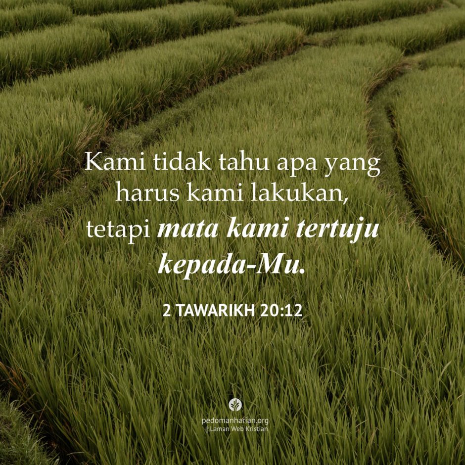 share_msodb_2025-09-10