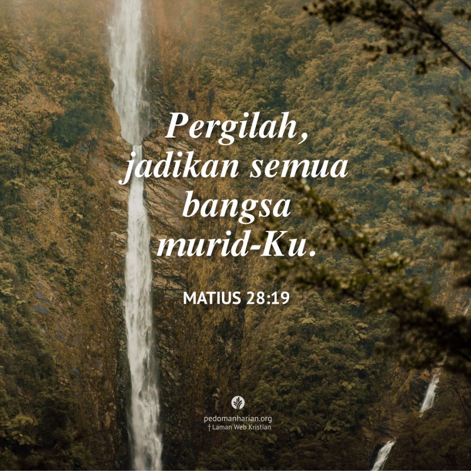 share_msodb_2025-09-15