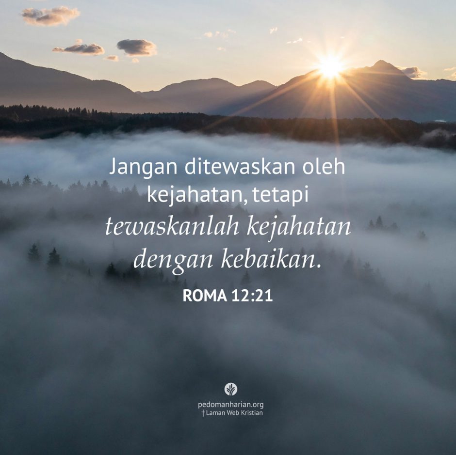 share_msodb_2025-09-16