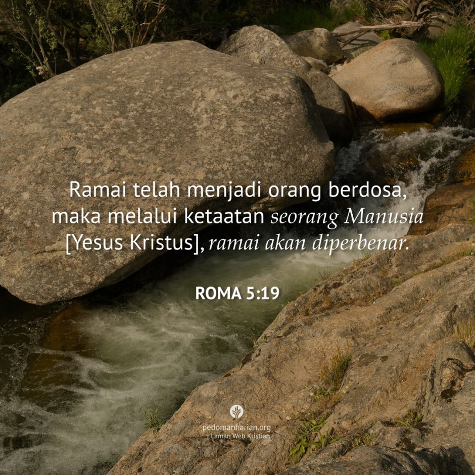 share_msodb_2025-09-26