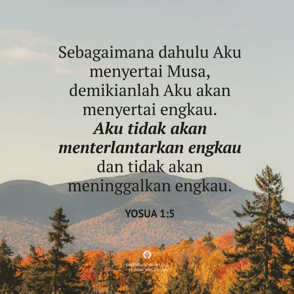 share_msodb_2025-09-27