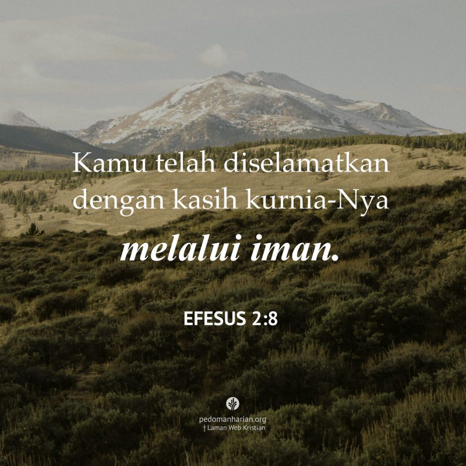 share_msodb_2025-09-30