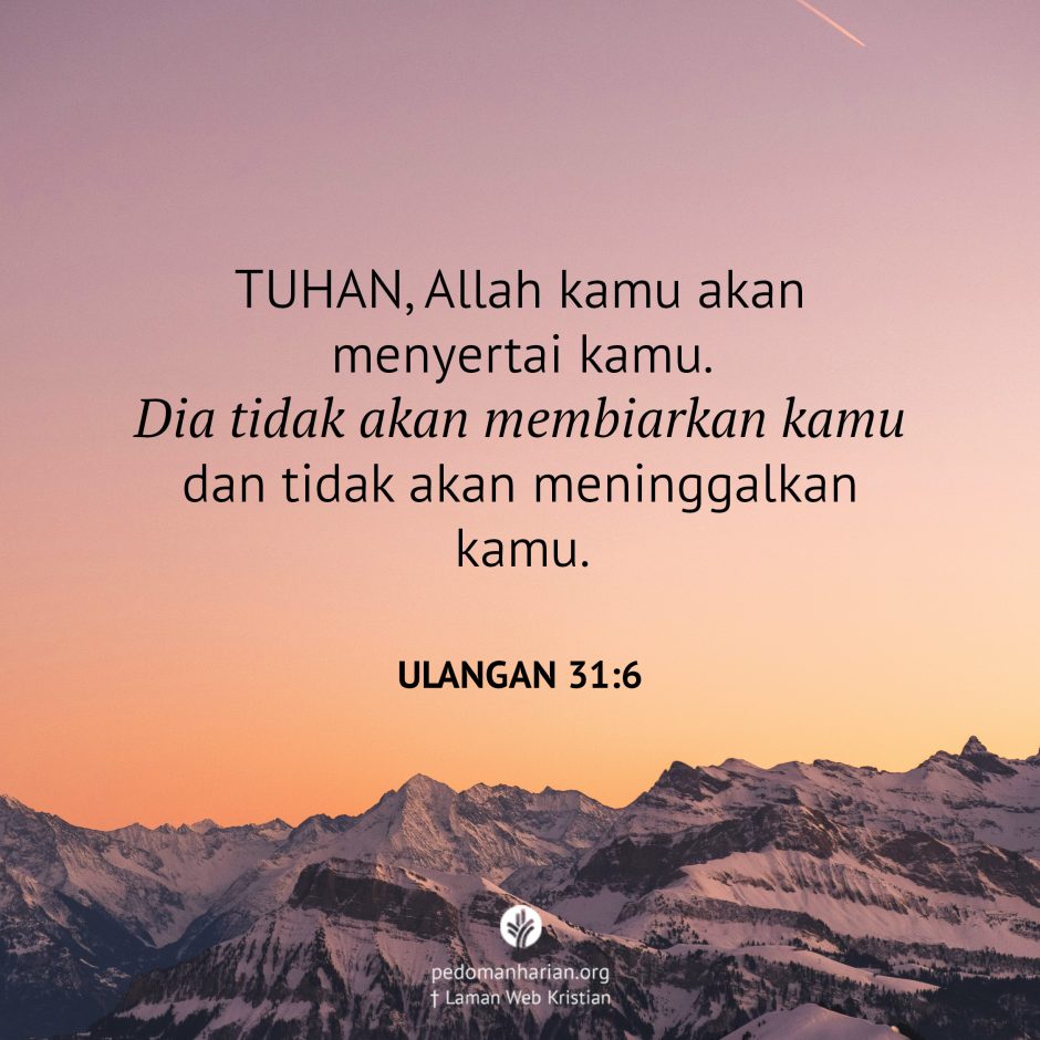 share_msodb_2025-08-05