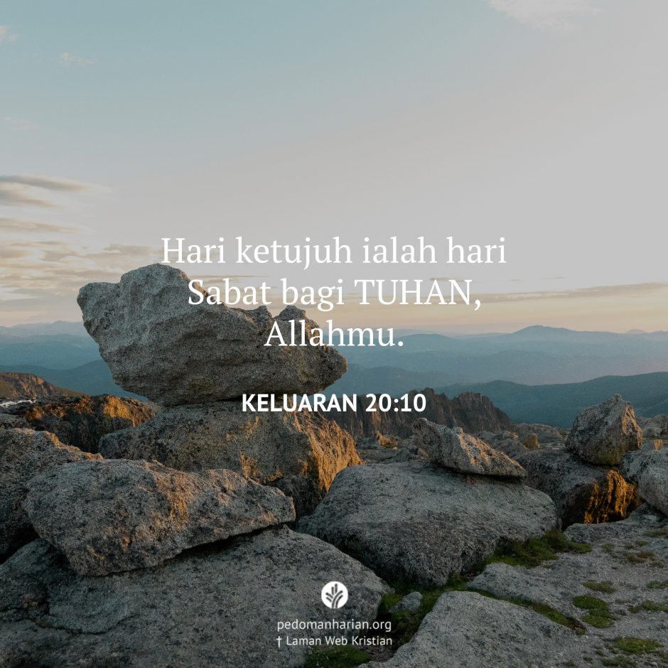share_msodb_2025-08-12