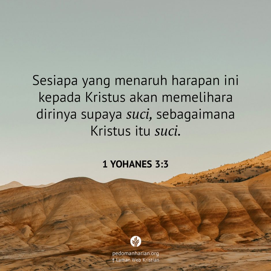 share_msodb_2025-08-18