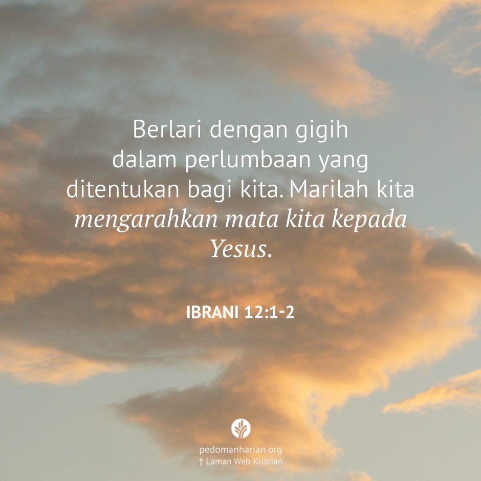 share_msodb_2025-08-20