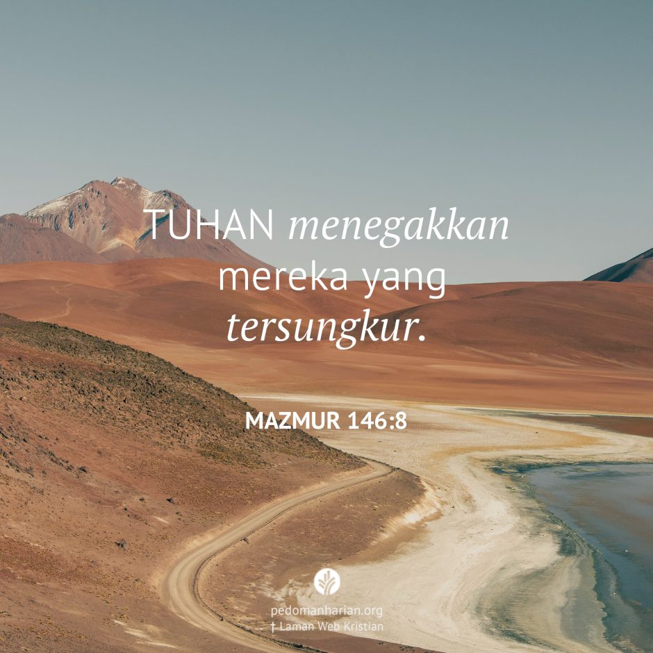 share_msodb_2025-08-22