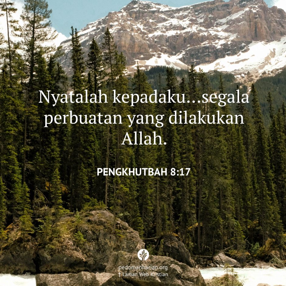 share_msodb_2025-08-30