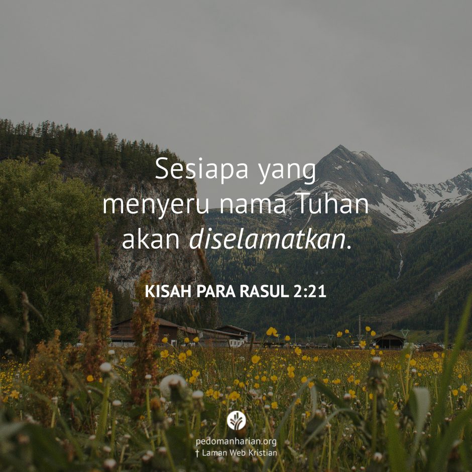 share_msodb_2025-08-28