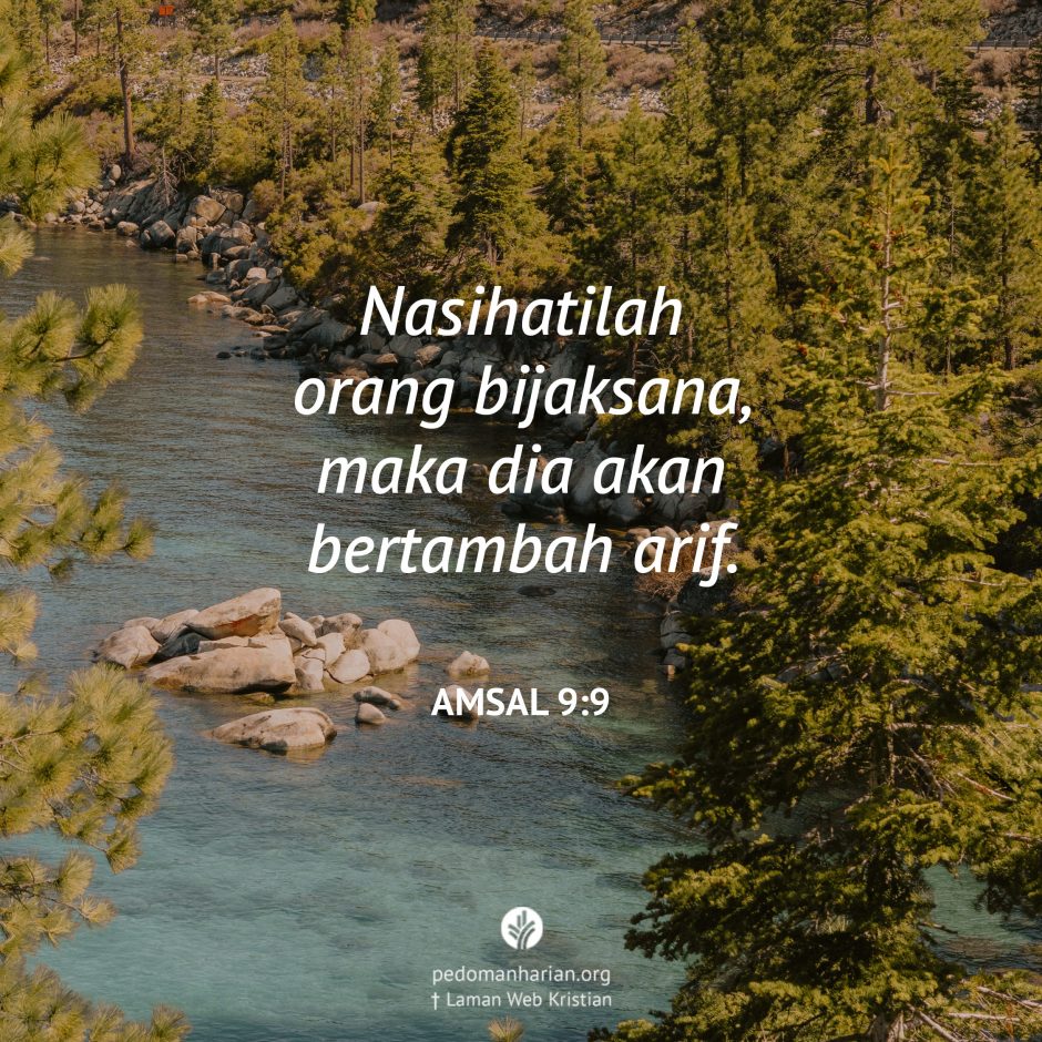 share_msodb_2025-10-02