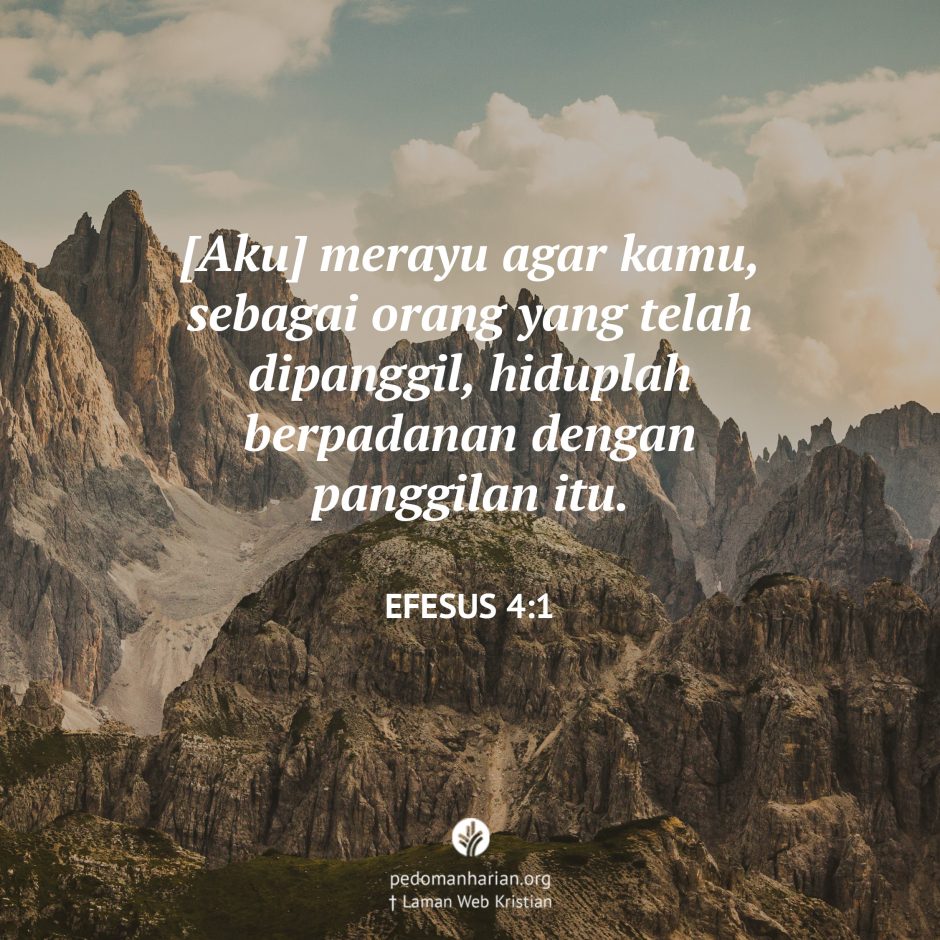 share_msodb_2025-10-08