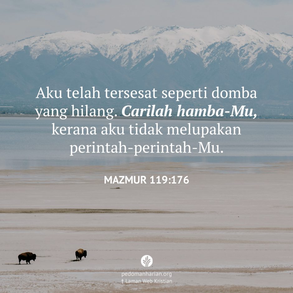 share_msodb_2025-10-16
