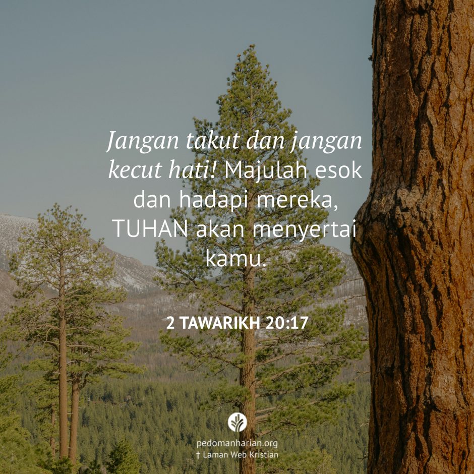 share_msodb_2025-10-18