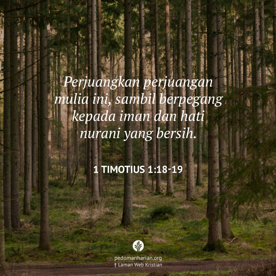 share_msodb_2025-10-24