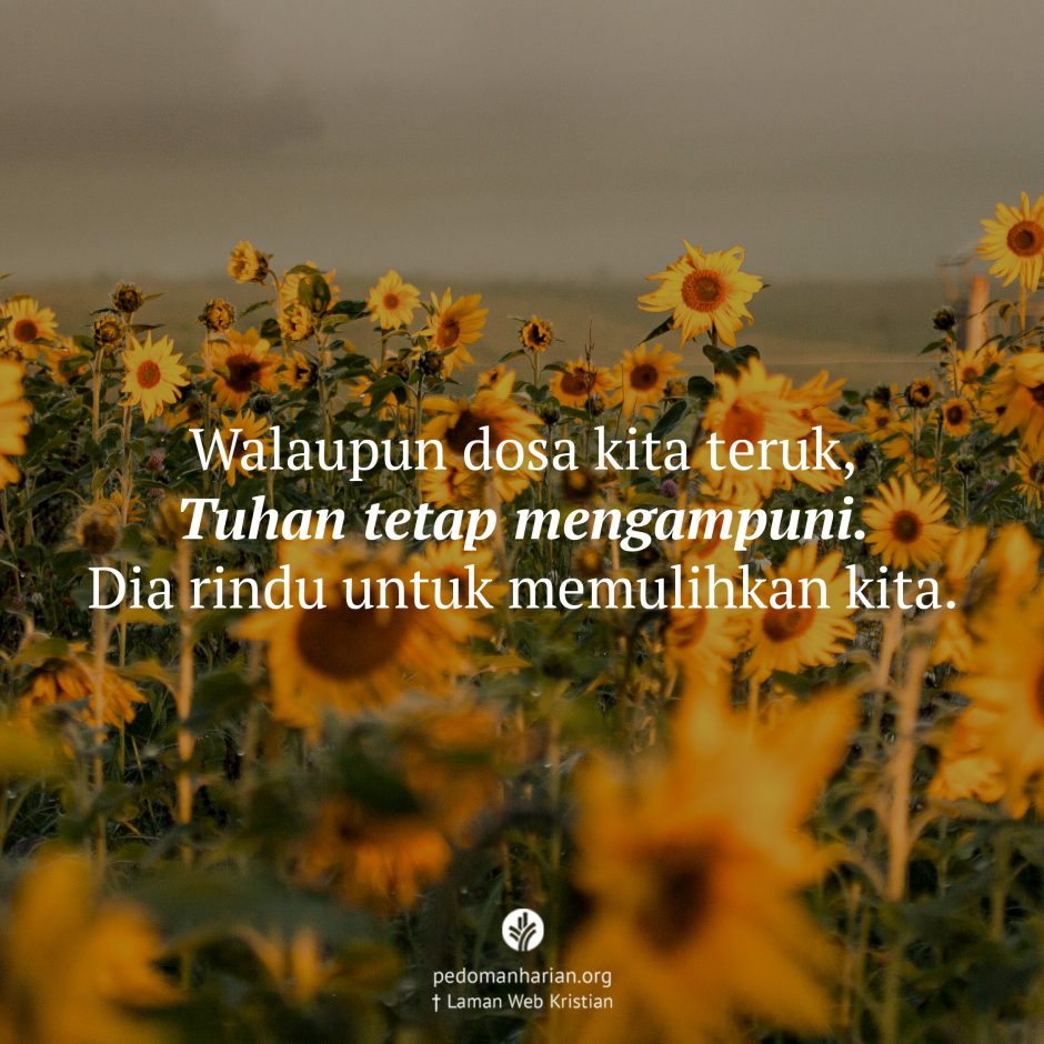 share_msodb_2025-10-25