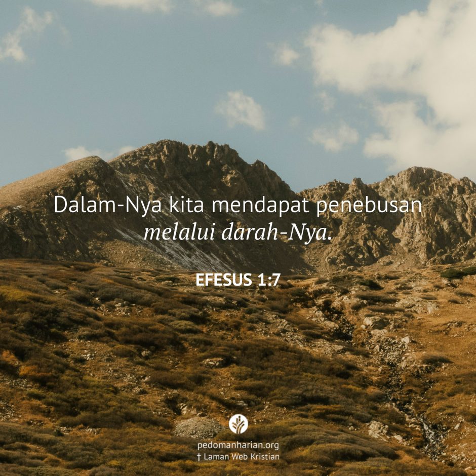 share_msodb_2025-10-31 share_msodb_2025-10-31