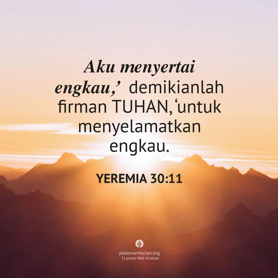 share_msodb_2025-11-24