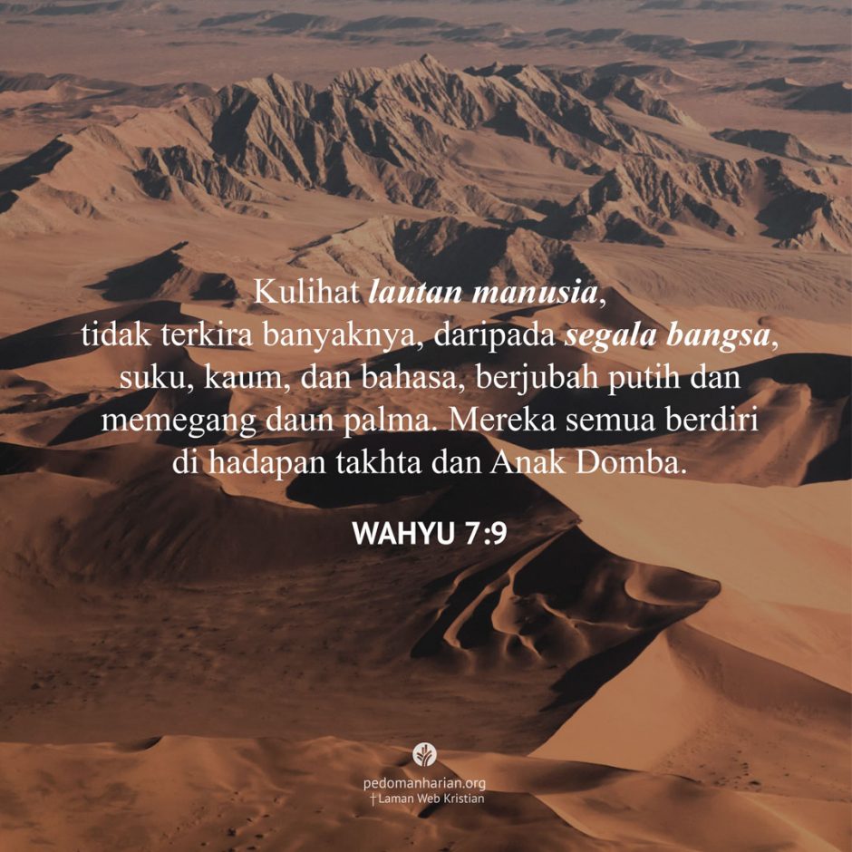 share_msodb_2025-11-01 share_msodb_2025-11-01