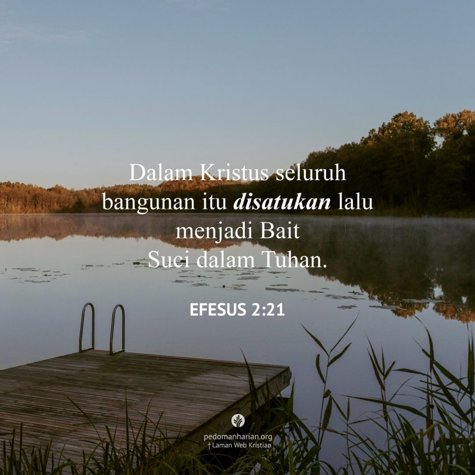 share_msodb_2025-11-03