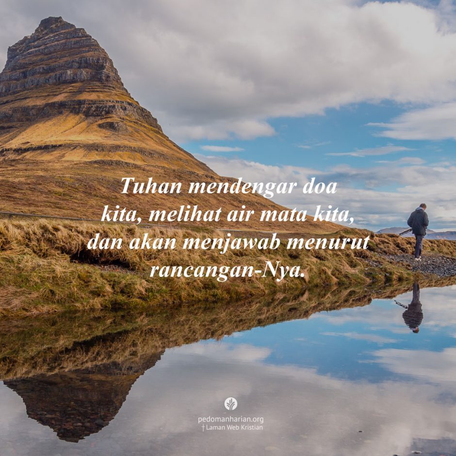 share_msodb_2025-11-04 share_msodb_2025-11-04