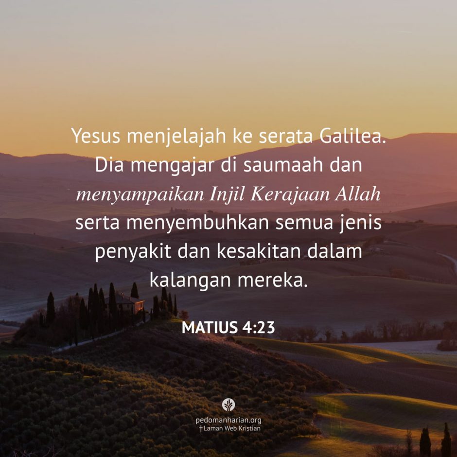 share_msodb_2025-11-05 share_msodb_2025-11-05