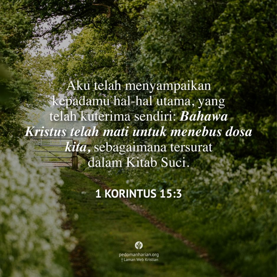 share_msodb_2025-11-06