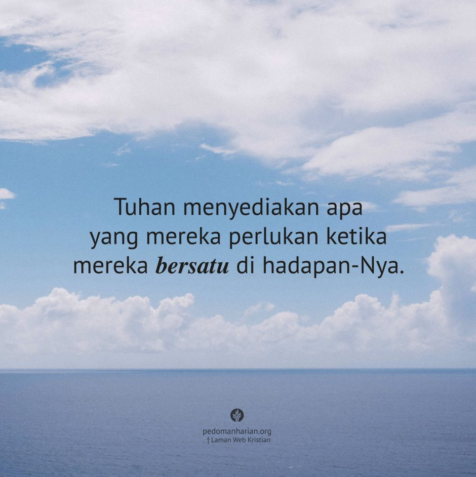 share_msodb_2025-11-07