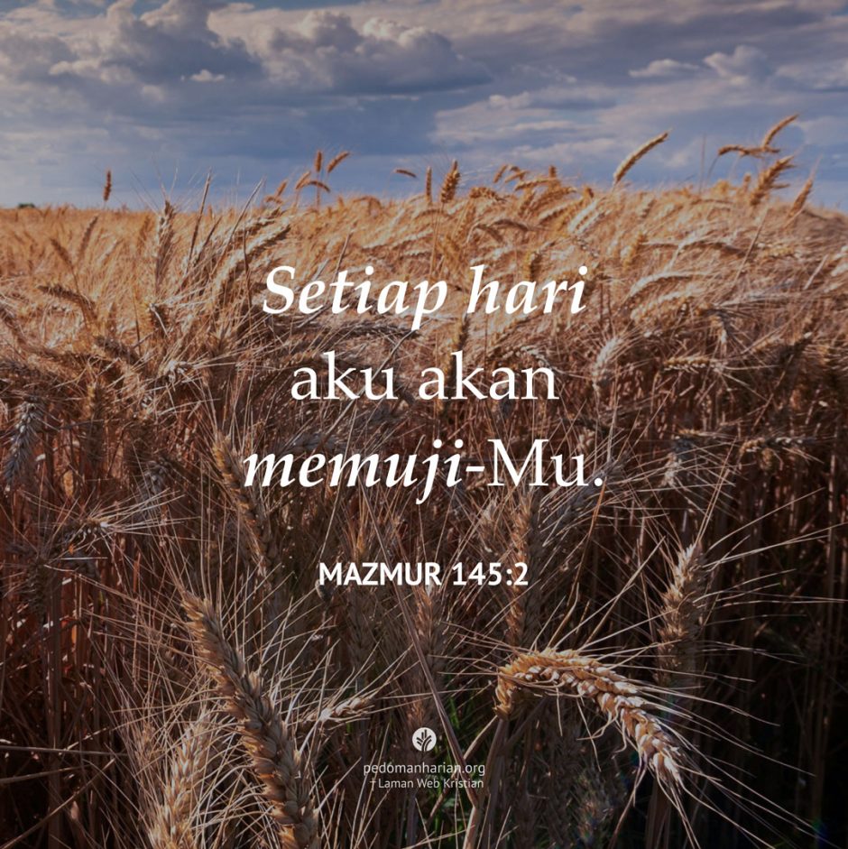 share_msodb_2025-11-08 share_msodb_2025-11-08