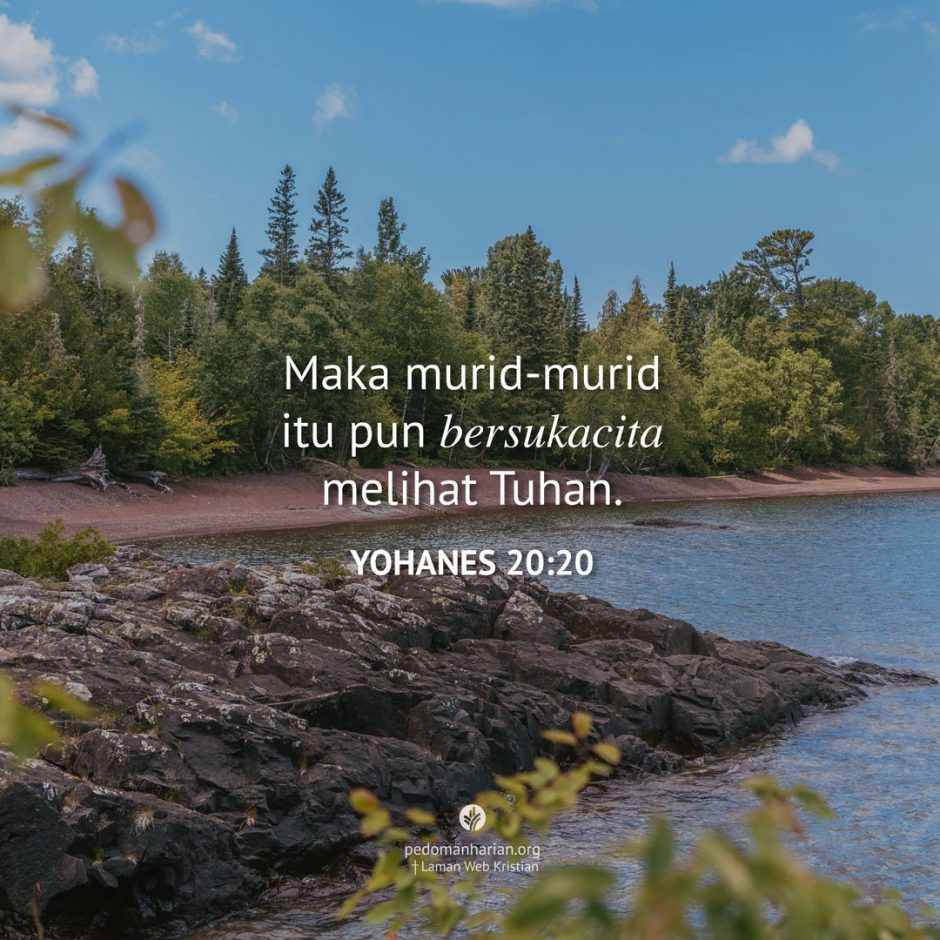 share_msodb_2025-11-11