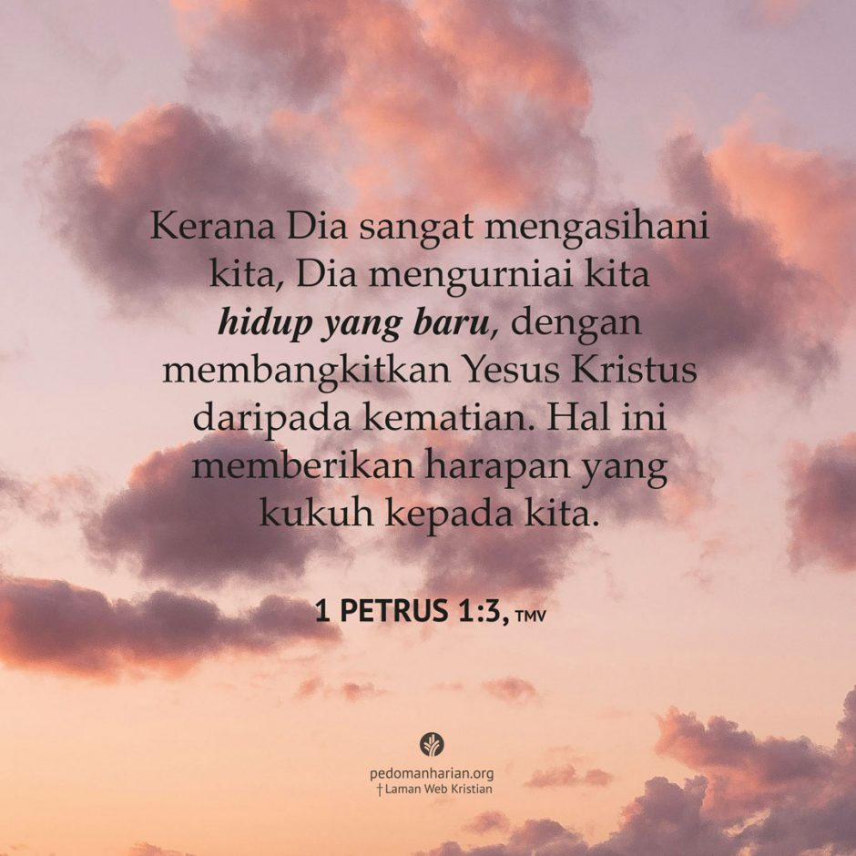 share_msodb_2025-11-12