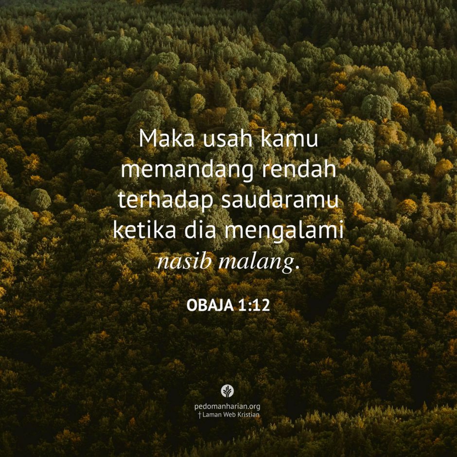 share_msodb_2025-11-13 share_msodb_2025-11-13