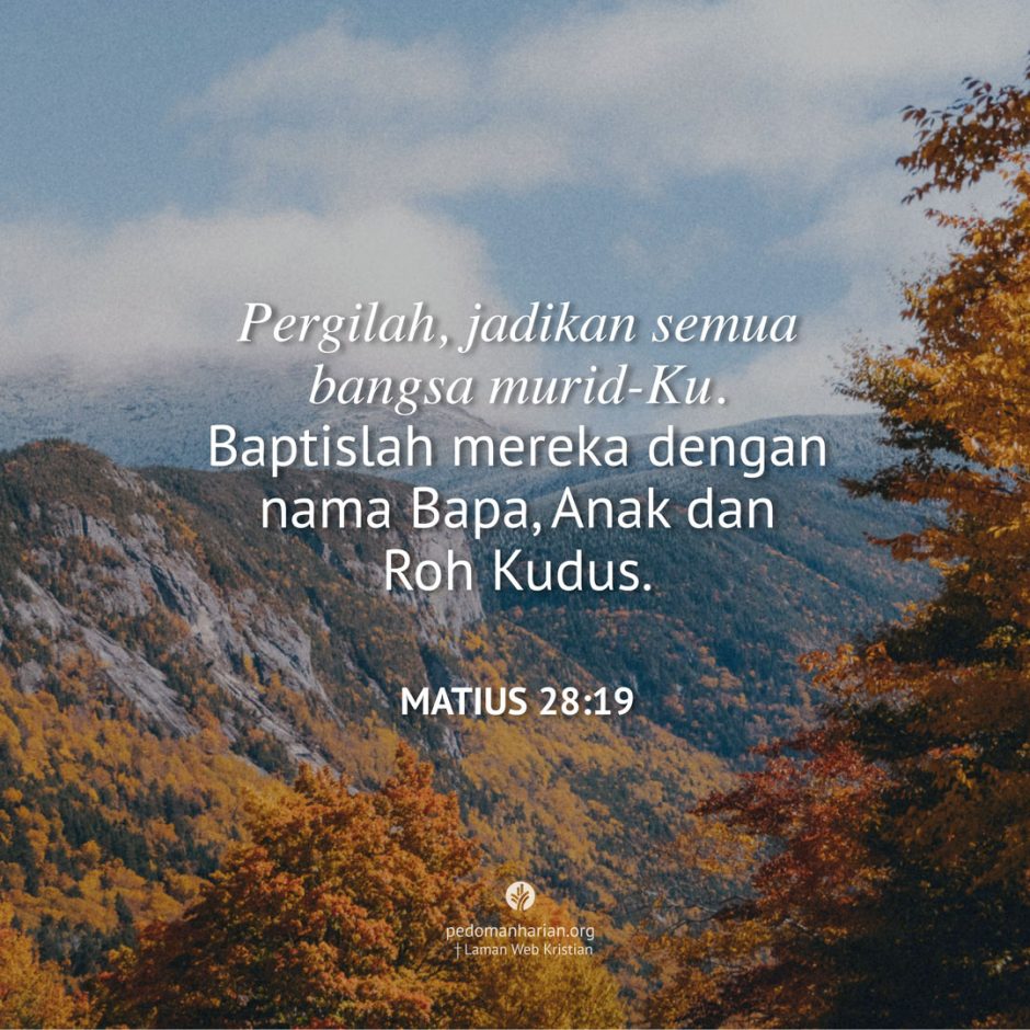 share_msodb_2025-11-09 share_msodb_2025-11-09