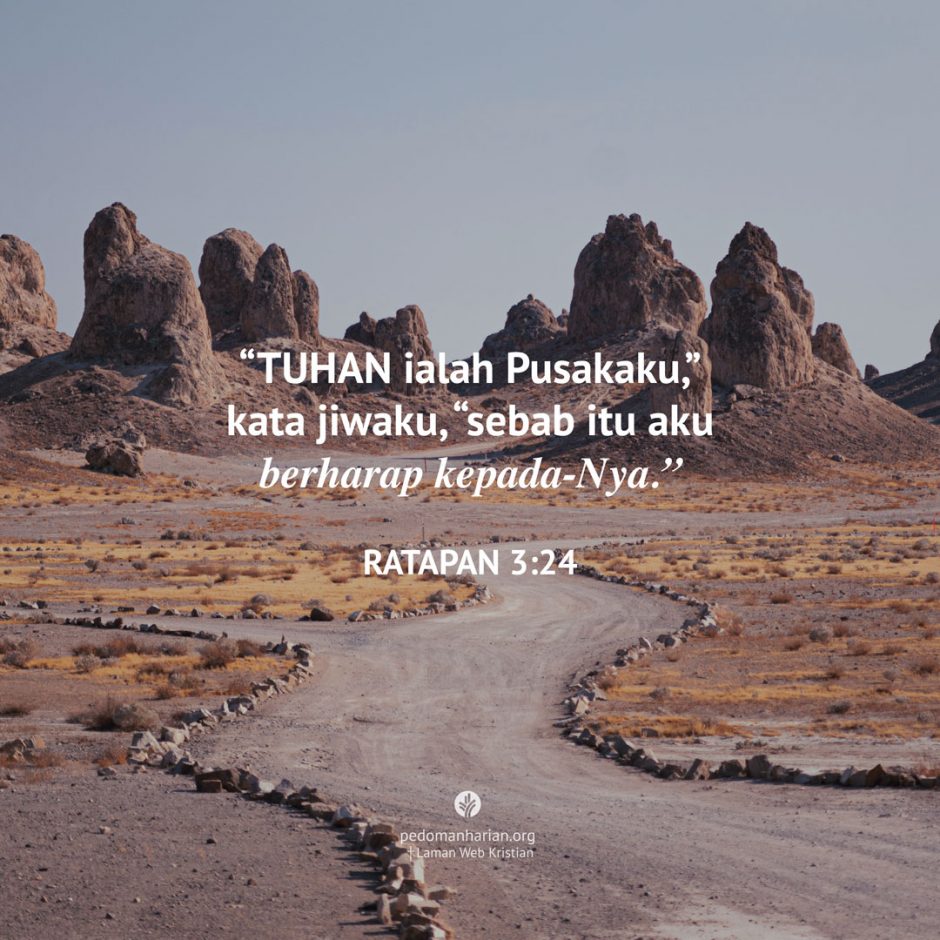 share_msodb_2025-11-14