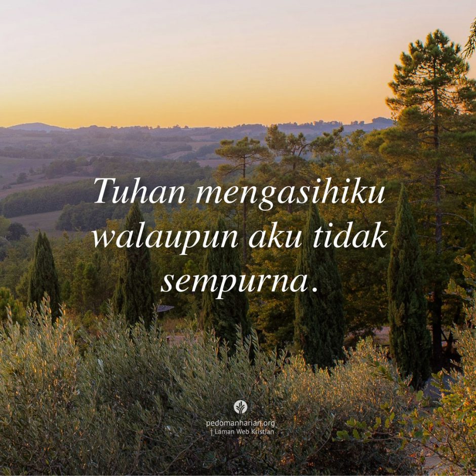 share_msodb_2025-11-15