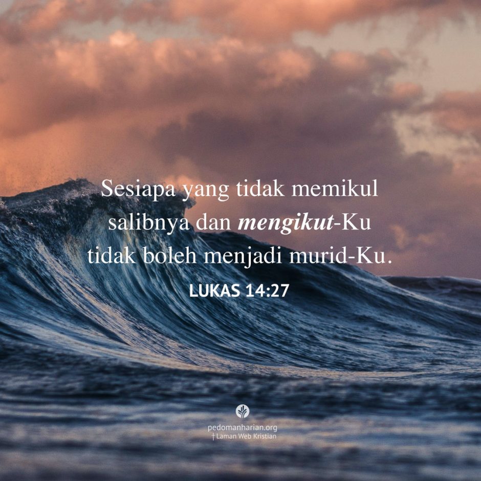 share_msodb_2025-11-16 share_msodb_2025-11-16