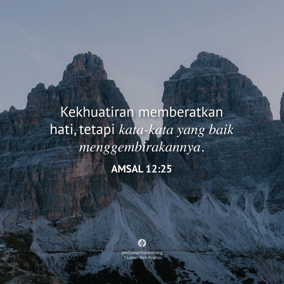 share_msodb_2025-11-17 share_msodb_2025-11-17